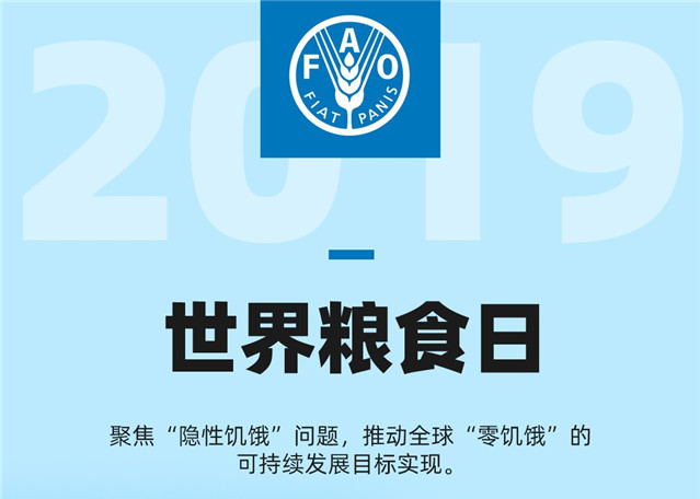 行动造就未来-健康饮食实现零饥饿